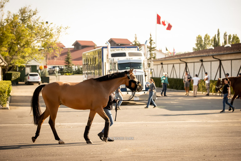  Photo © MacKenzie Clark Photo Team. 