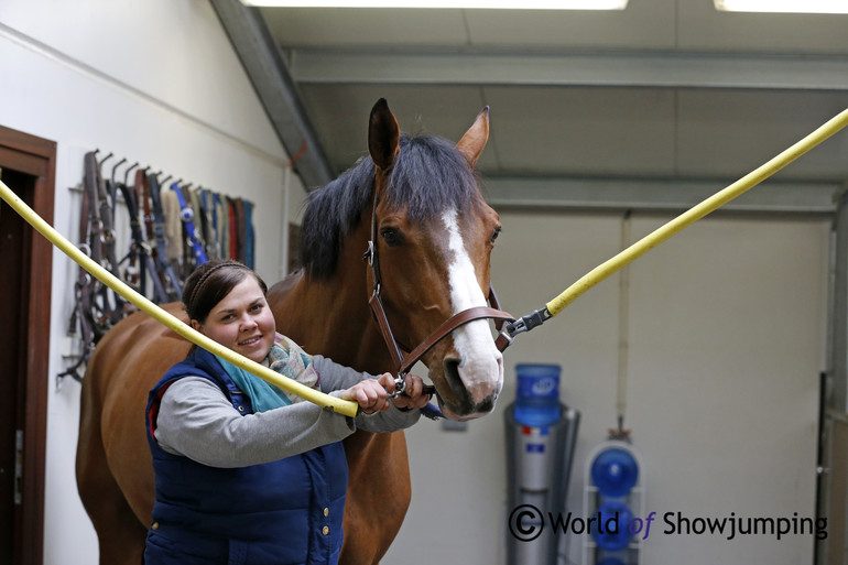 Joe's groom Asia and Utamaro.