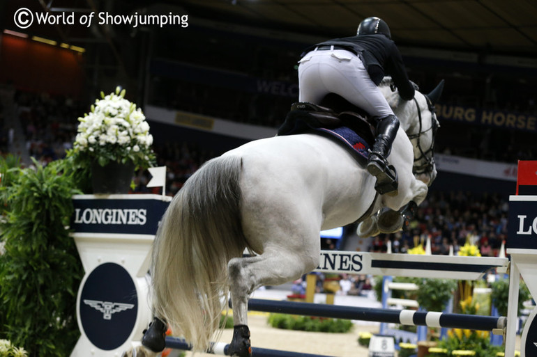 (c) World of Showjumping