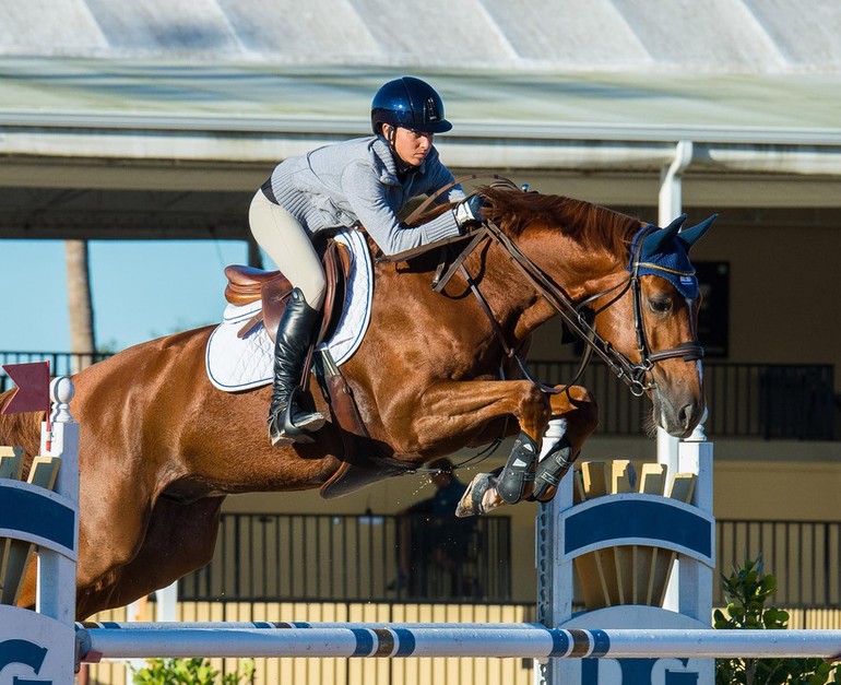 Casual Pleasure is a new talent on Daniel Bluman's team. Photo (c) Ken Braddick/dressage-news.com.