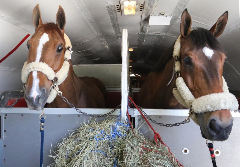 Rotschild and Simon arrive in Las Vegas