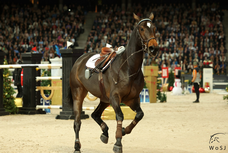 Photo © Jenny Abrahamsson for World of Showjumping.