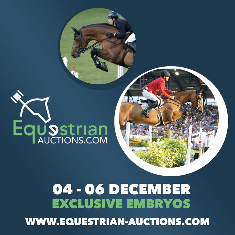 Equestrian Auctions