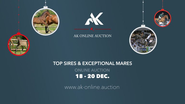AK-online.auction