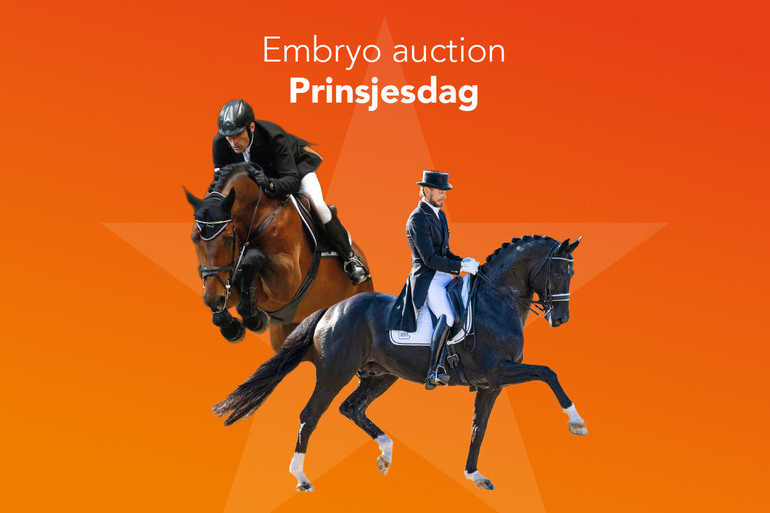 Embryo Auction Prinsjesdag