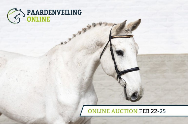 Paardenveilingonline.com