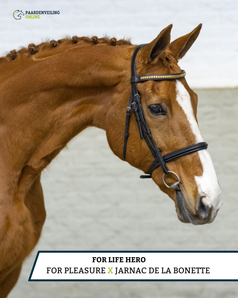 For Life Hero - For Pleasure x Jarnac de la Bonette