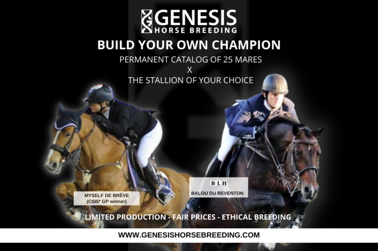 Genesis Horse Breeding