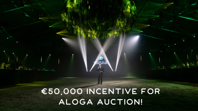 Aloga Auction