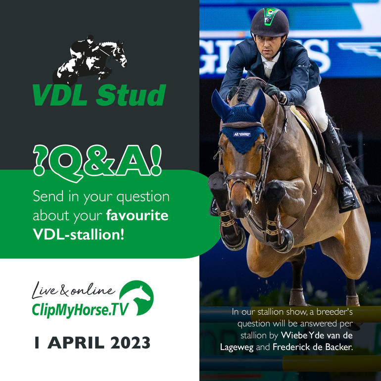 VDL Stallion Show 2023