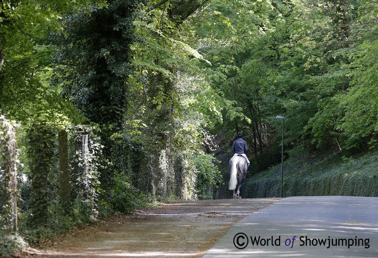 It is a long, but beautiful walk to the stables. 