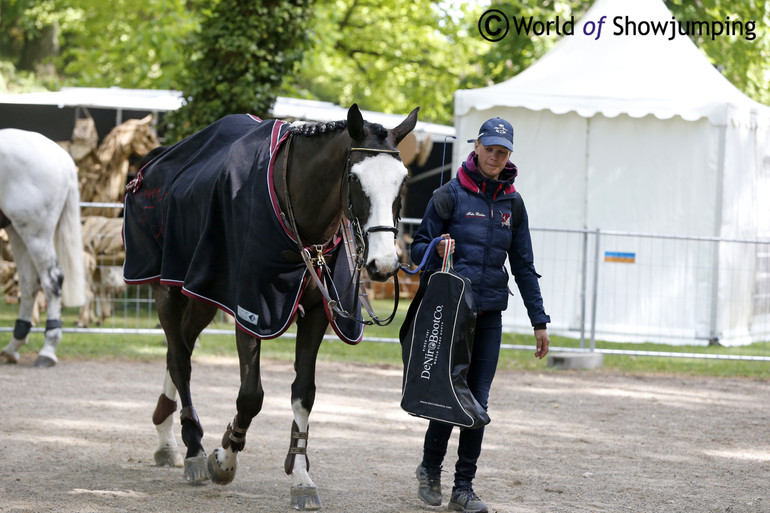 Nybor Pferde's Balounito on his way back to the stable after a great round. 