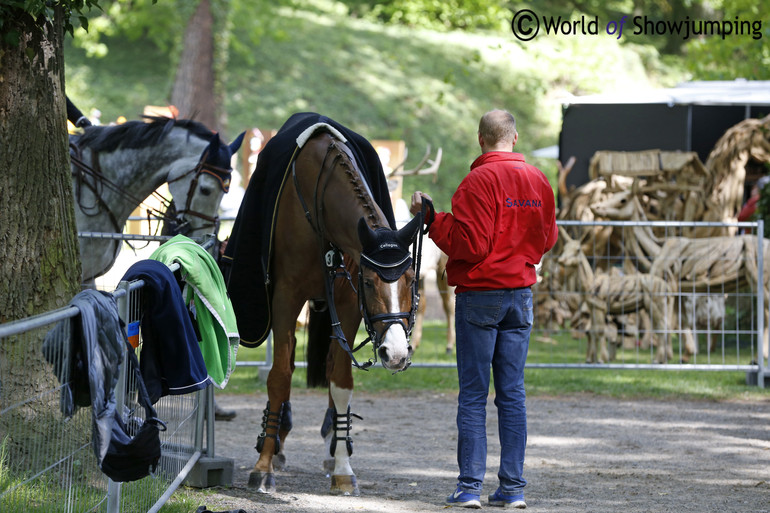 Grace waiting for the price giving and her rider Janne-Friederike Meyer. 