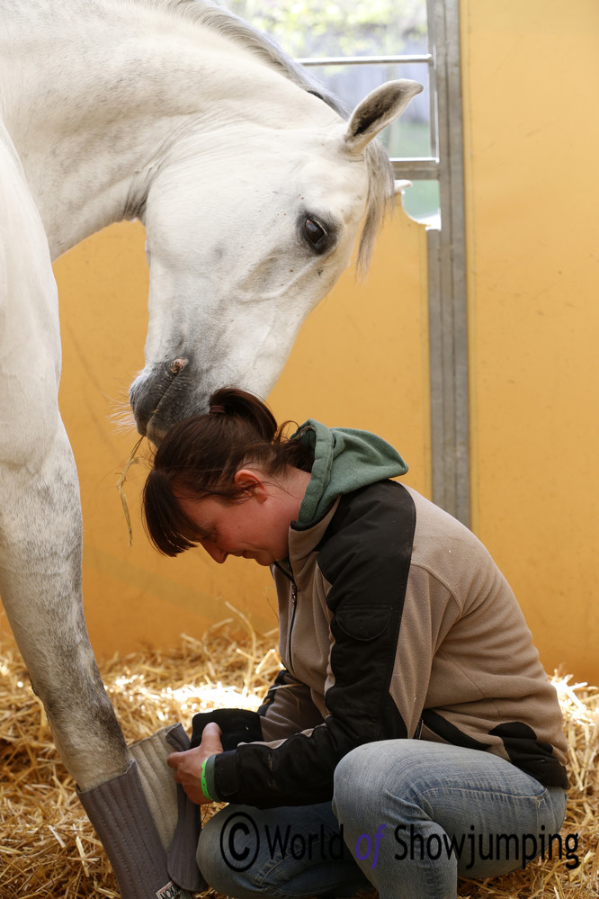 Qubo wants to know exactly what Kirsten Jensen is doing. 