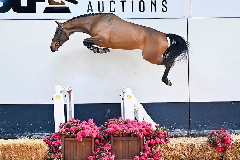 Unrivaled quality in April edition of SLF Auction | World of