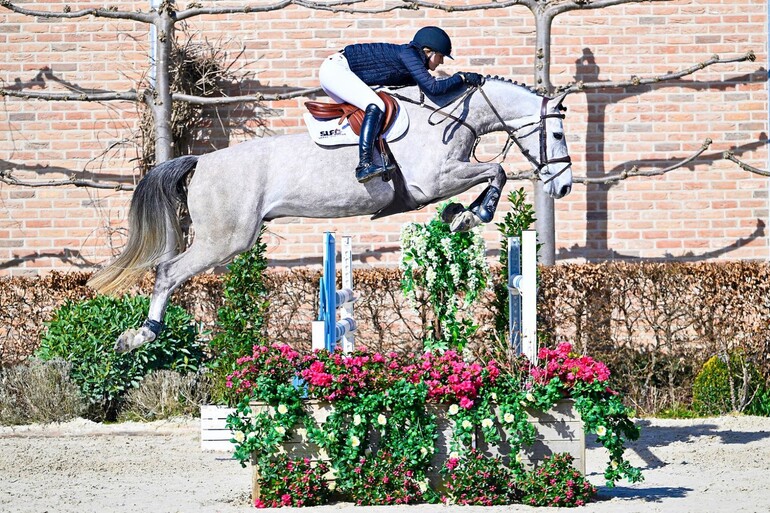 Unrivaled quality in April edition of SLF Auction | World of