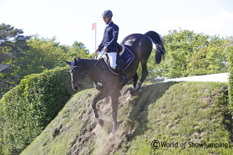 Gilbert Tillmann won the derby in 2013 riding Hello Max. Now he made it a go with the 9 year old Hadjib.