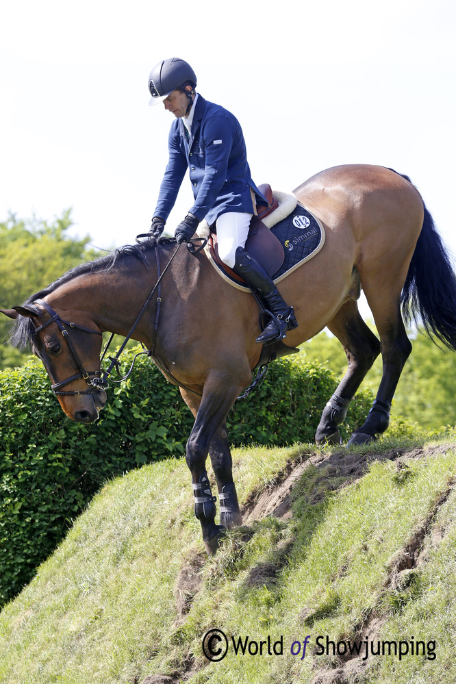 Nigel Coupe's Golvers Hill looks like he knows exactly where to put his hoofs. 