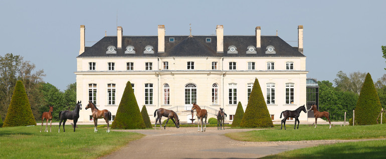 Haras de Hus