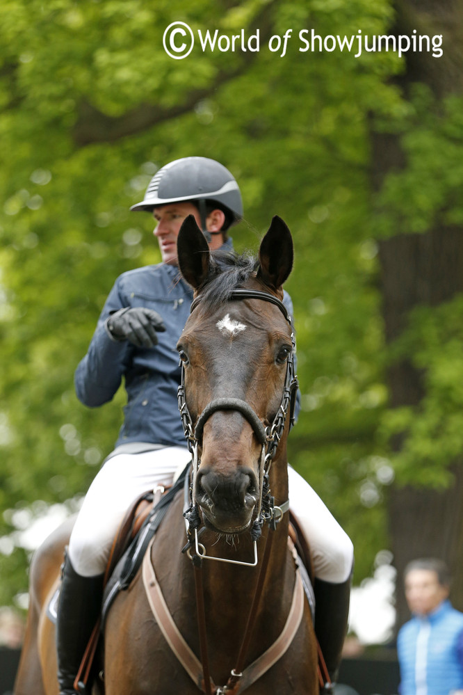 Philipp Weishaupt taking a look at the first rider of the second round, while Chico is busy posing for the camera. 