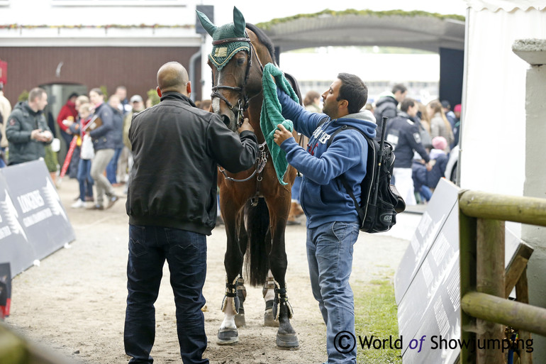 The last preparations are done with Talan, as next to go. In the meantime his rider Abdullah Al Sharbatly is taking a look at the rider before him. 