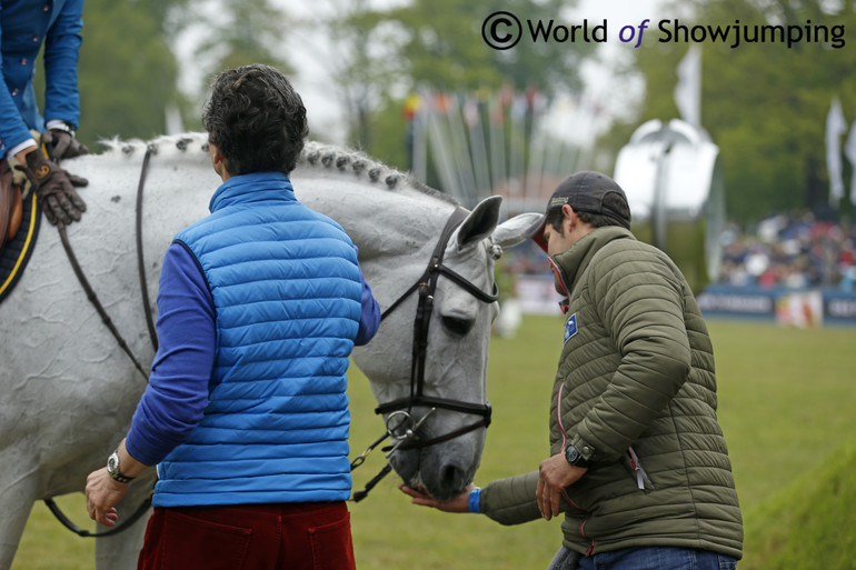 ... and a very pleased Winningmood getting a lot of treats after his performance. 