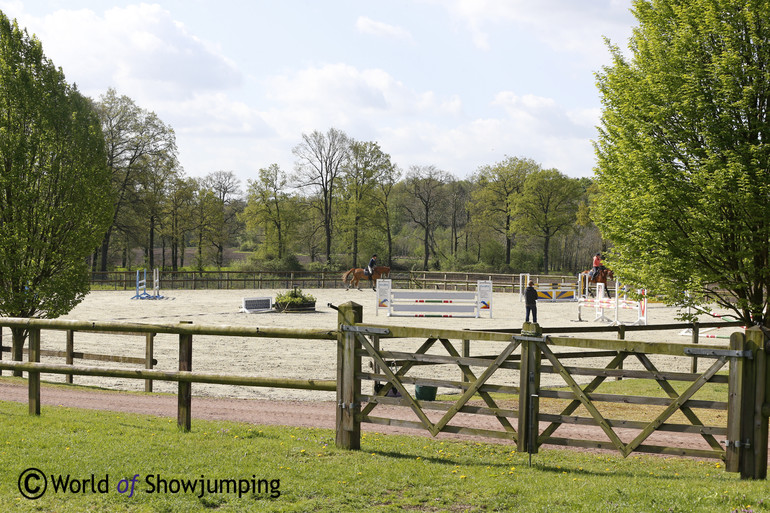 One of the outdoor rings