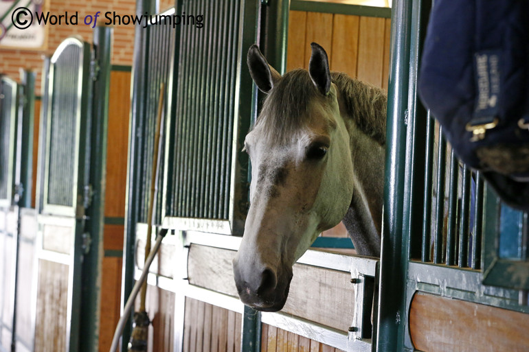 The stables