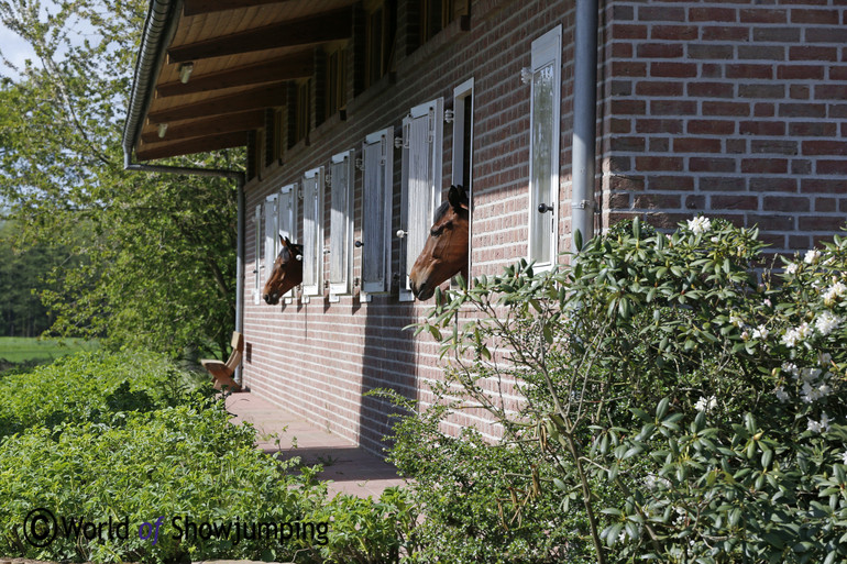 The stables