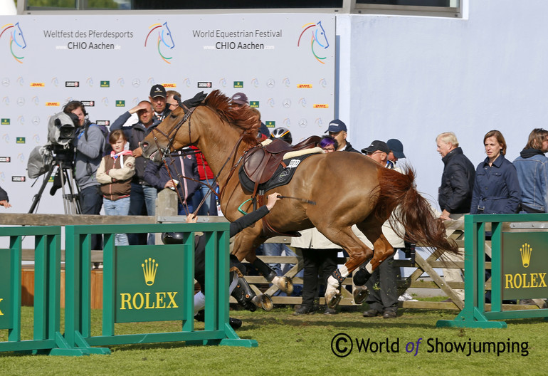 It could have gone bad for Constant van Paesschen, who slipped and fell - more or less under the horse - when he jumped off Ralphy Utopia de Ransbeck.