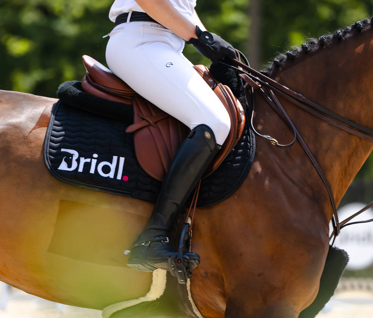 BRIDL Auction