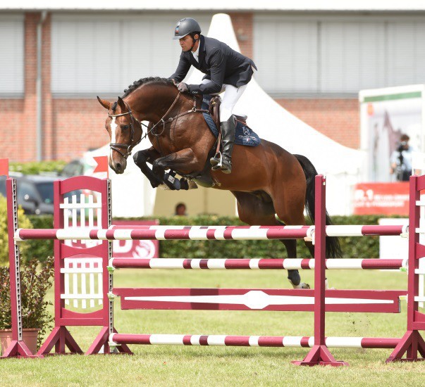 Champion of the 6-year-olds 2014 Stanfour by Singulord Joter - Colman.