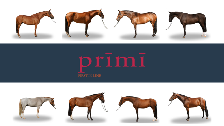 Prīmī – First in Line