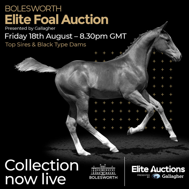 Bolesworth Elite Auction 