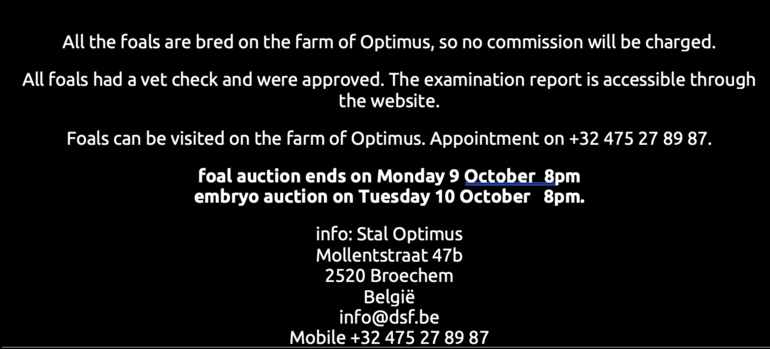 Optimus Auction