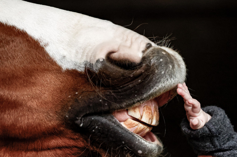 Photo © Jenny Abrahamsson/World of Showjumping.