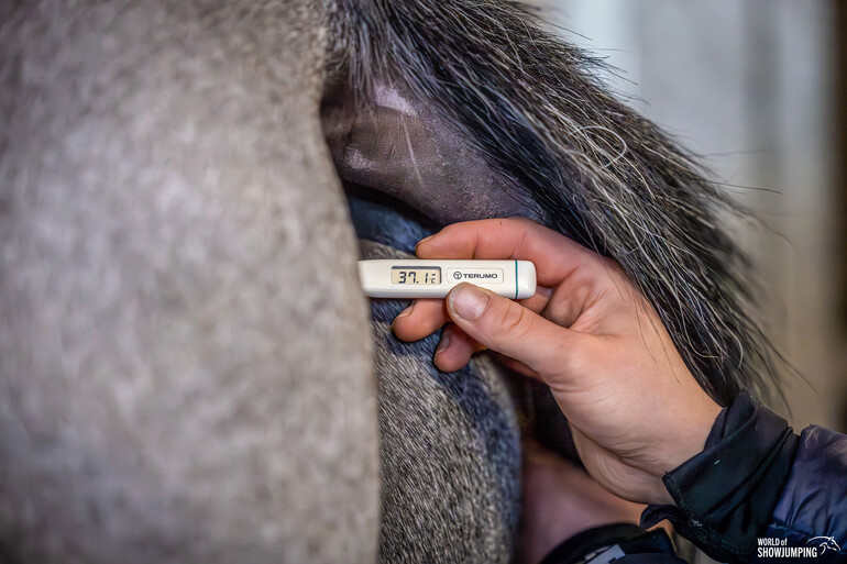 Photo © Jenny A Photo/WoSJ. 