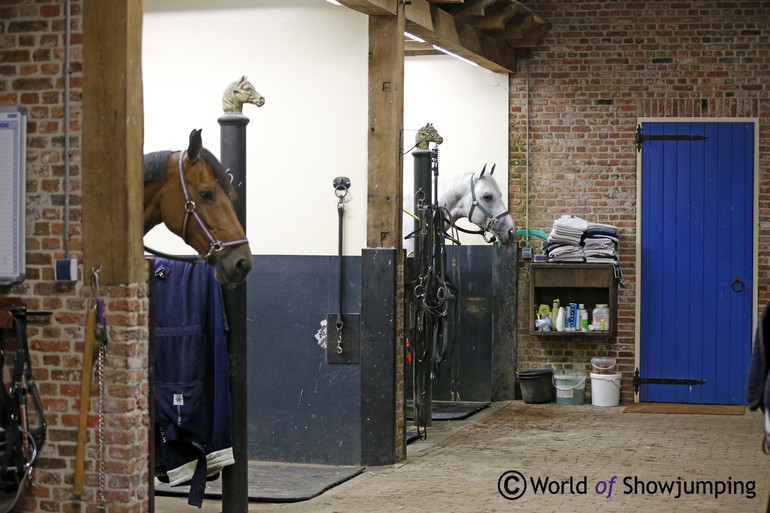 Willem Greve's beautiful stable