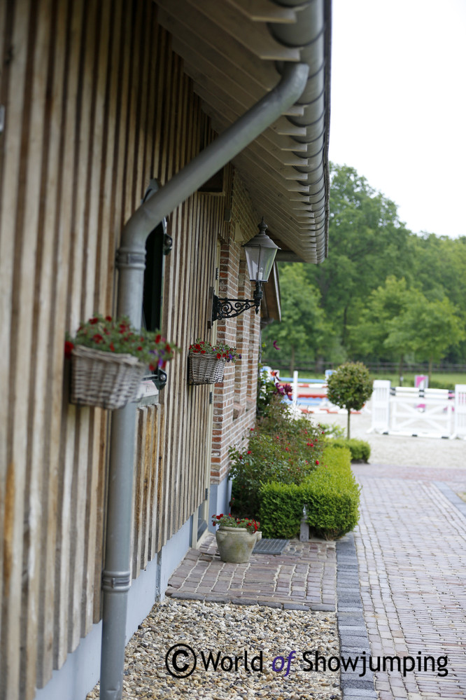 Willem Greve's beautiful stable