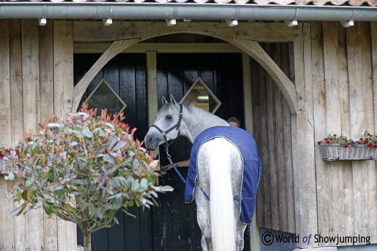 Willem Greve's beautiful stable