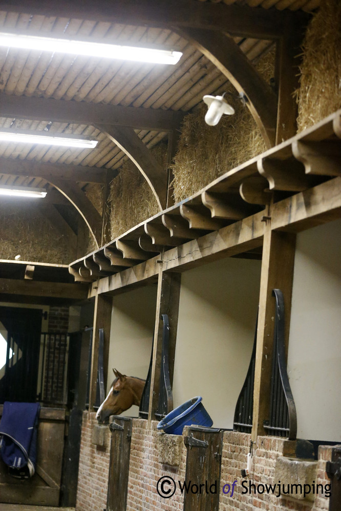 Willem Greve's beautiful stable
