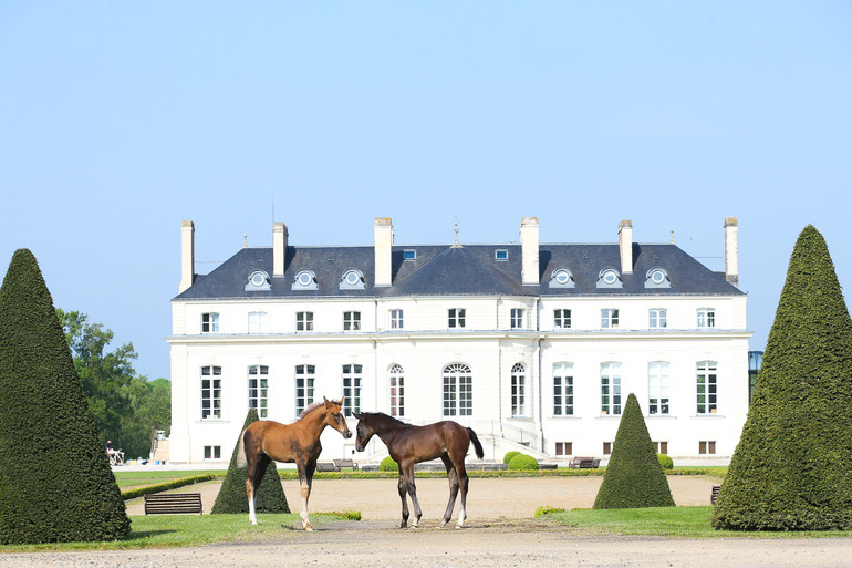 Haras de Hus