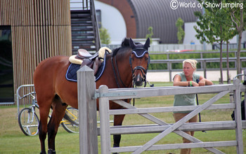 Plenty of space for the horses. 