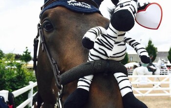 Cheese and his zebra!