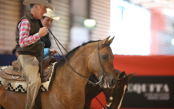 Photo (c) www.studforlife.com.