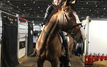 Kay and Plot enjoying a little ride.
