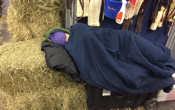 Sleeping at Olympia