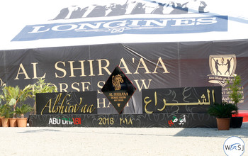(c) World of Showjumping
