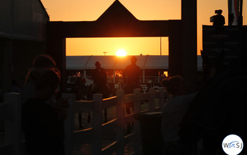 (c) World of Showjumping