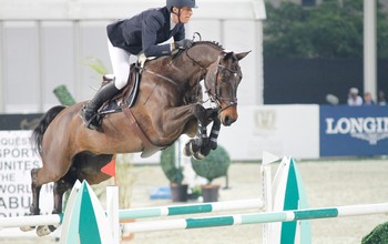 (c) World of Showjumping